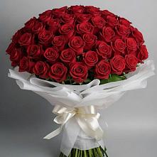 Букет 101 Красная роза Блэк Мэджик в Богандинском