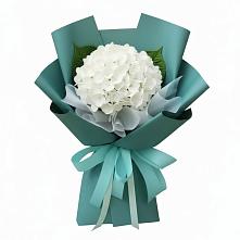 Букет цветов из:  Гортензия #REPLACE_PRED# Богандинском